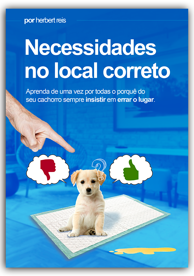 Ebook Necessidades