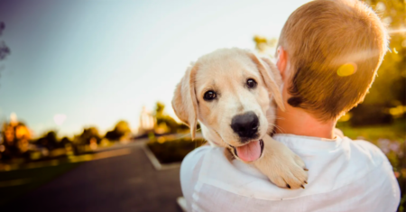 Escolhendo um novo cachorro depois de perder um 