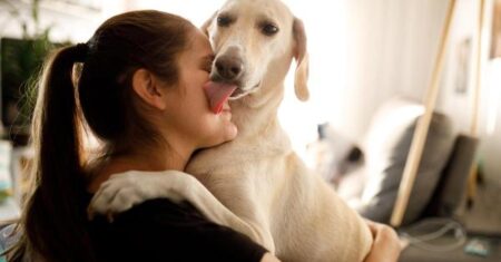 Por que os cães lambem… tudo?