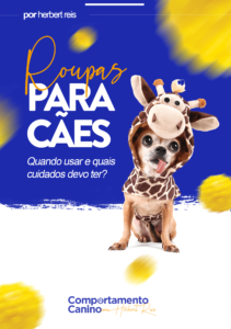 Roupas para Cães: Quando usar e quais Cuidados devo ter?