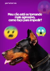 Meu cão está se tornando Agressivo, como impedir?