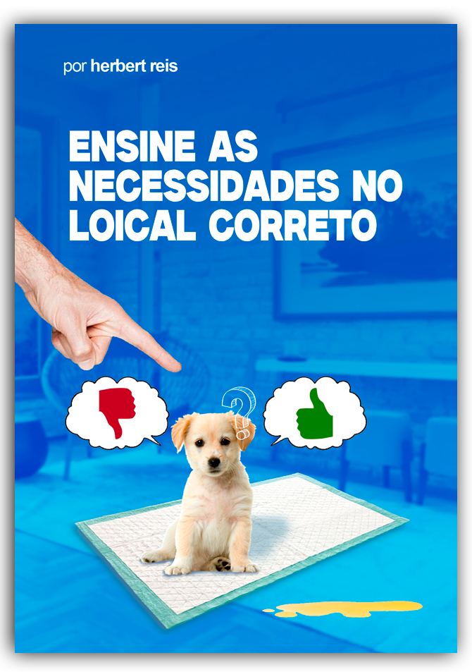 Necessidades no Local Correto