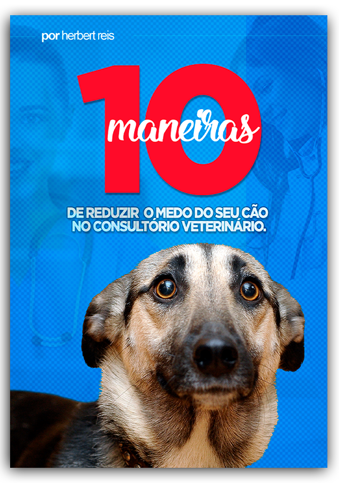 10 Maneiras de reduzir o medo do seu Cão no Veterinário!