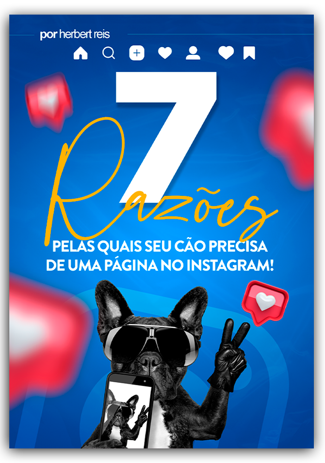 7 Razões pelas quais seu cachorro Precisa ter um Instagram