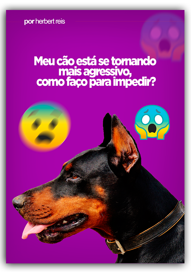 Meu cão está se tornando Agressivo, como impedir?