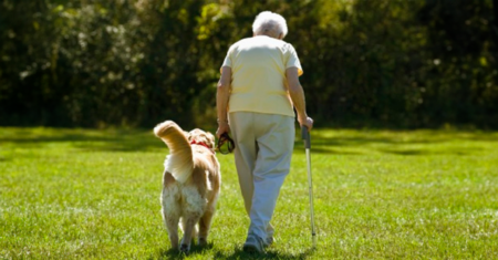 As melhores raças de cães para idosos