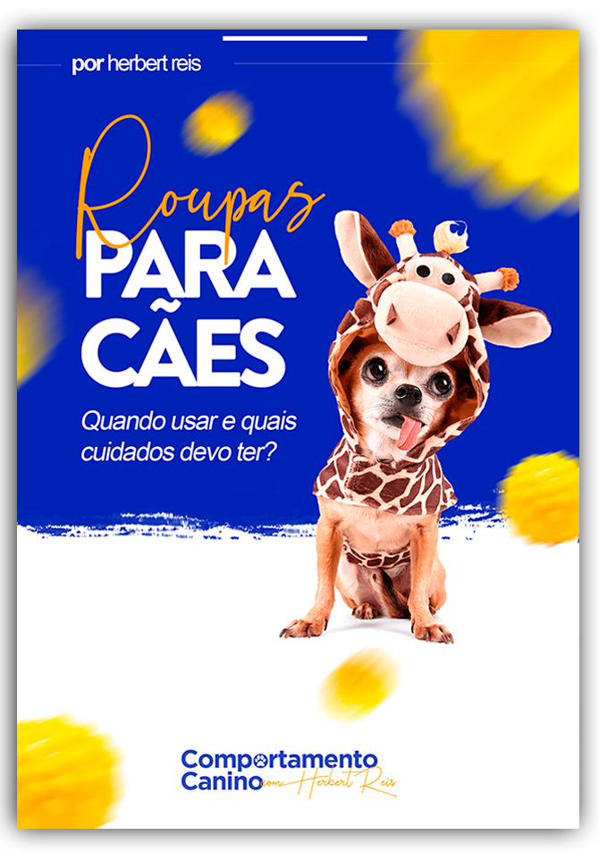 Roupas para Cães: Quando usar e quais Cuidados devo ter?