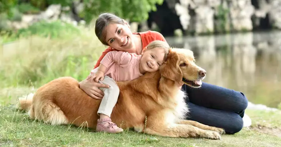 Protegendo seu cão das crianças