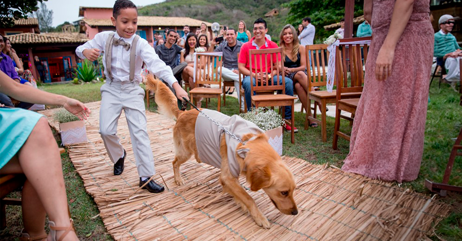 Treinando seu cão para o dia do seu casamento