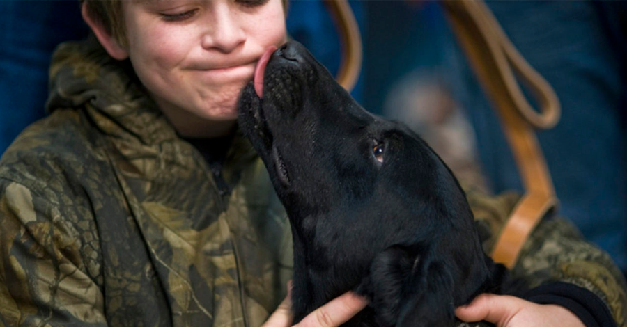 5 sinais de que você não está pronto para ter um cachorro