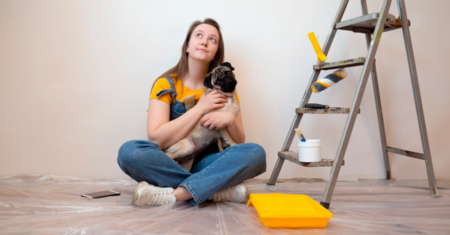 Como manter seu cão seguro durante uma reforma em casa