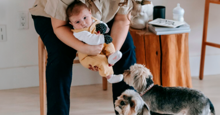 Como apresentar seu bebê ao seu cachorro