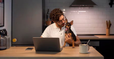 Como trabalhar em casa com seu cachorro