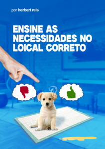 Ensine as Necessidades no Local Correto para seu Cão