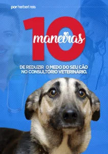 10 Maneiras de reduzir o medo do seu Cão no Veterinário!