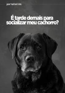 Será que é tarde Demais para Socializar meu Cachorro?