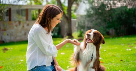 O treinamento mudará a personalidade do seu cão?